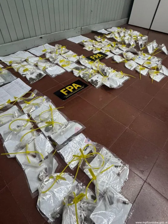 Cosquín: detuvieron a dos personas con drogas en un recital de rock
