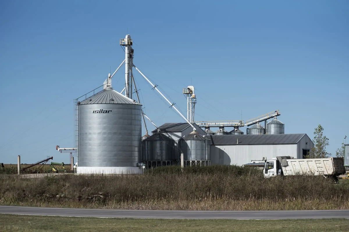 El costo de producir granos en Argentina se acerca al de sus competidores