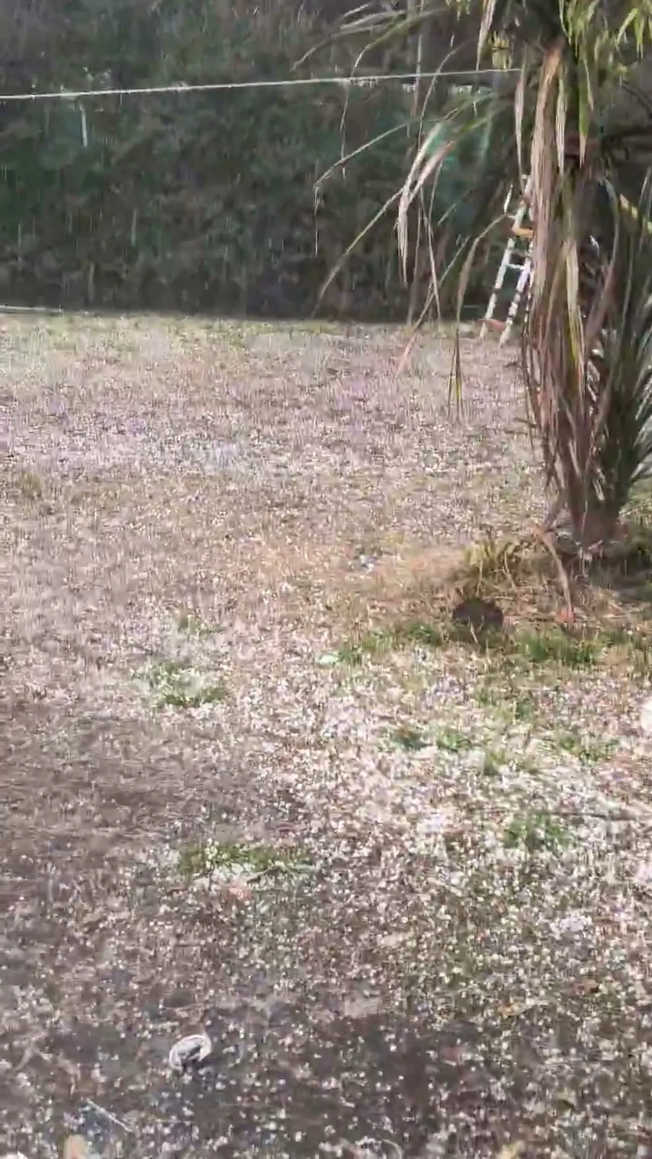 Granizo sorprende a Pilar: vecinos reportan daños y caos en calles